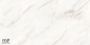 Керамогранит NT Ceramic Marmo Empire Pearl Endless Glossy арт. NTT99525P (60x120) полированная